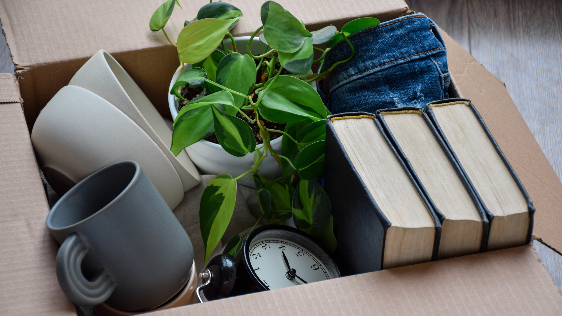 SECOND SPACE Header 4